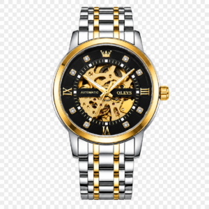 Gold and silver automatic watch