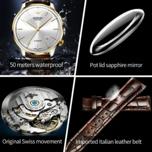 Luxury watch features and materials