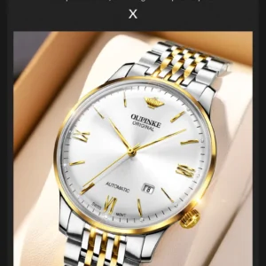 Automatic gold and silver watch