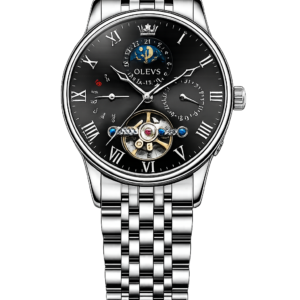 Luxury men's watch.