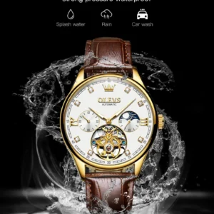Gold watch with brown strap