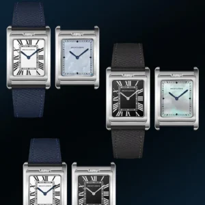 Rectangular watches color display