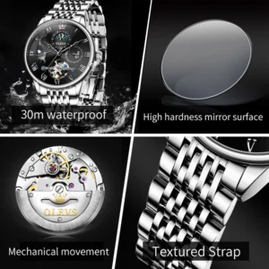 Luxury men's watch features
